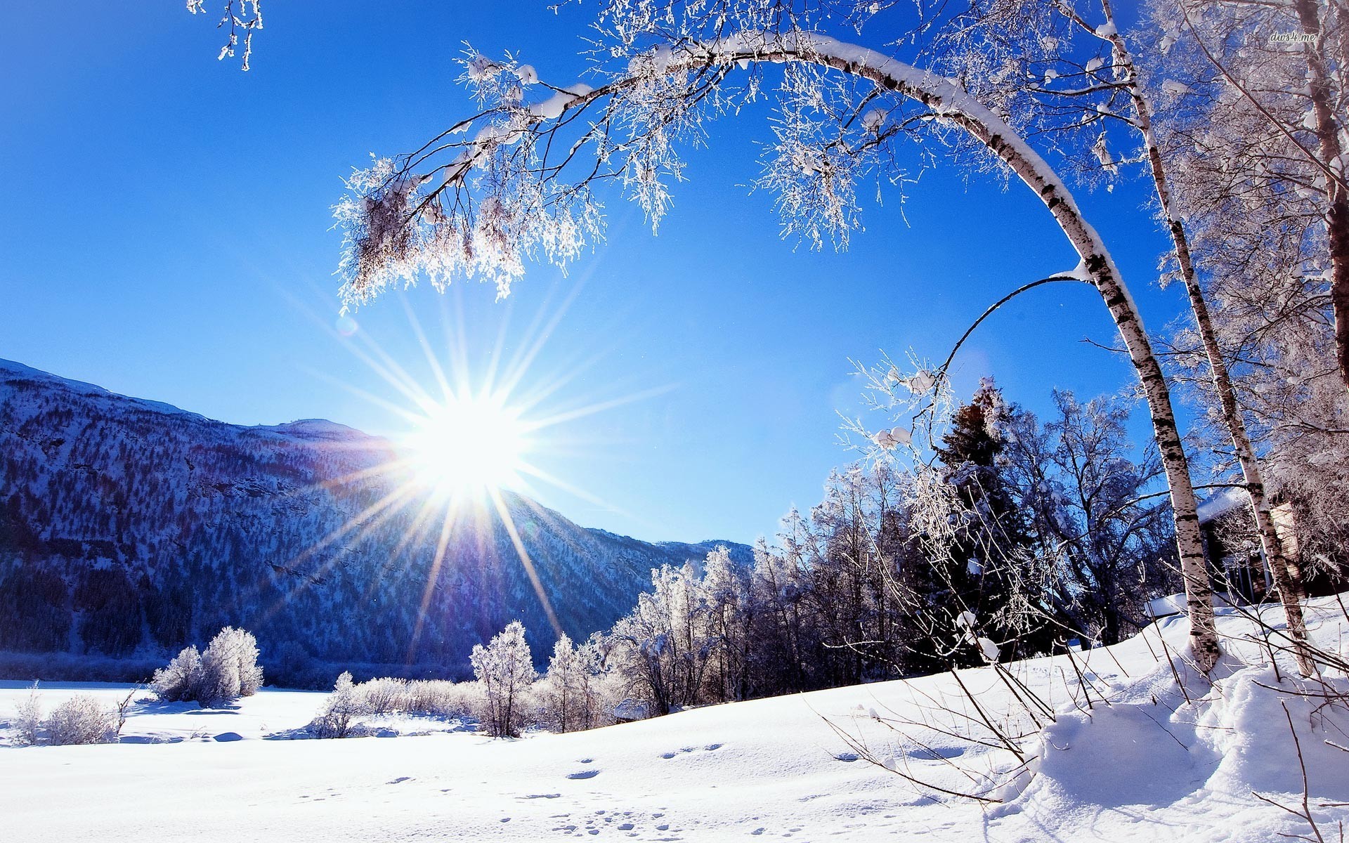 schneelandschaft tapete,winter,schnee,himmel,natur,natürliche landschaft