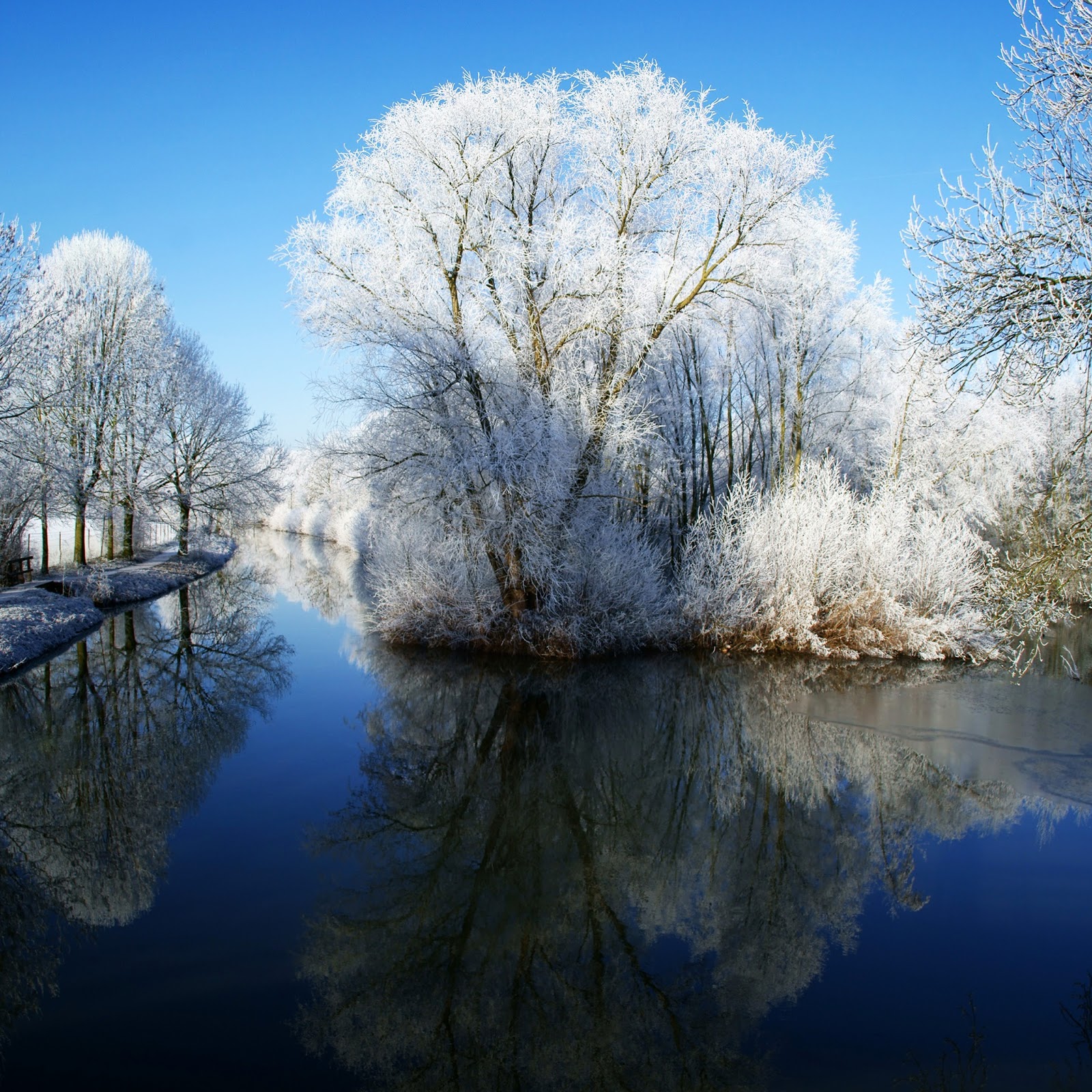 carta da parati a tema invernale,paesaggio naturale,riflessione,natura,acqua,inverno