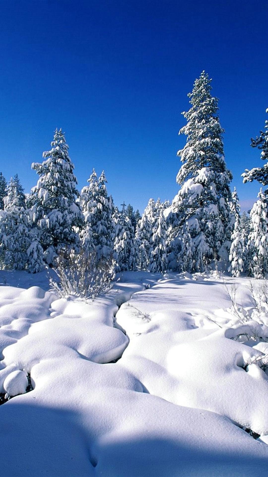 冬をテーマにした壁紙,雪,冬,木,自然,自然の風景