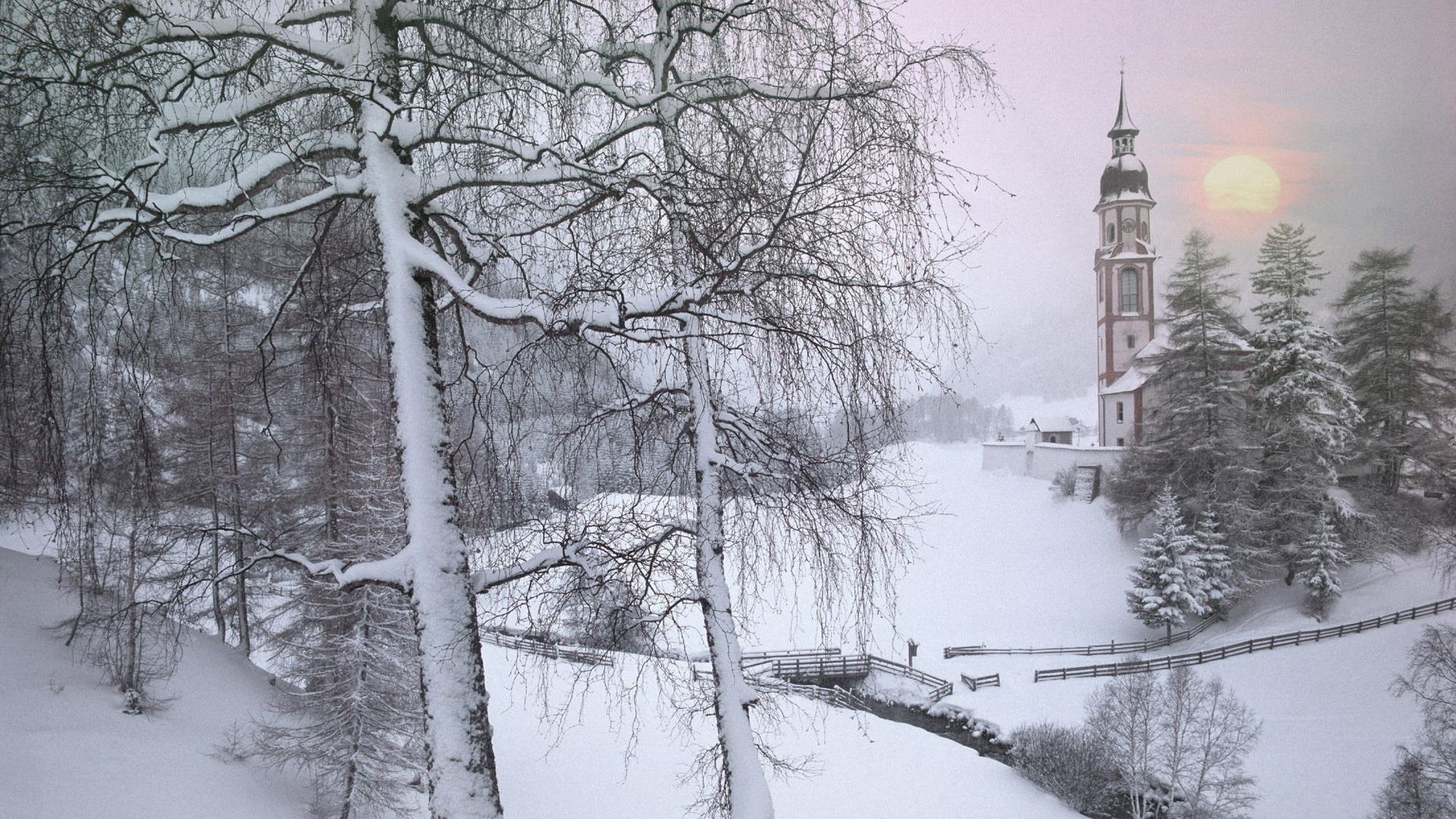 winter themed wallpaper,snow,winter,tree,freezing,atmospheric phenomenon