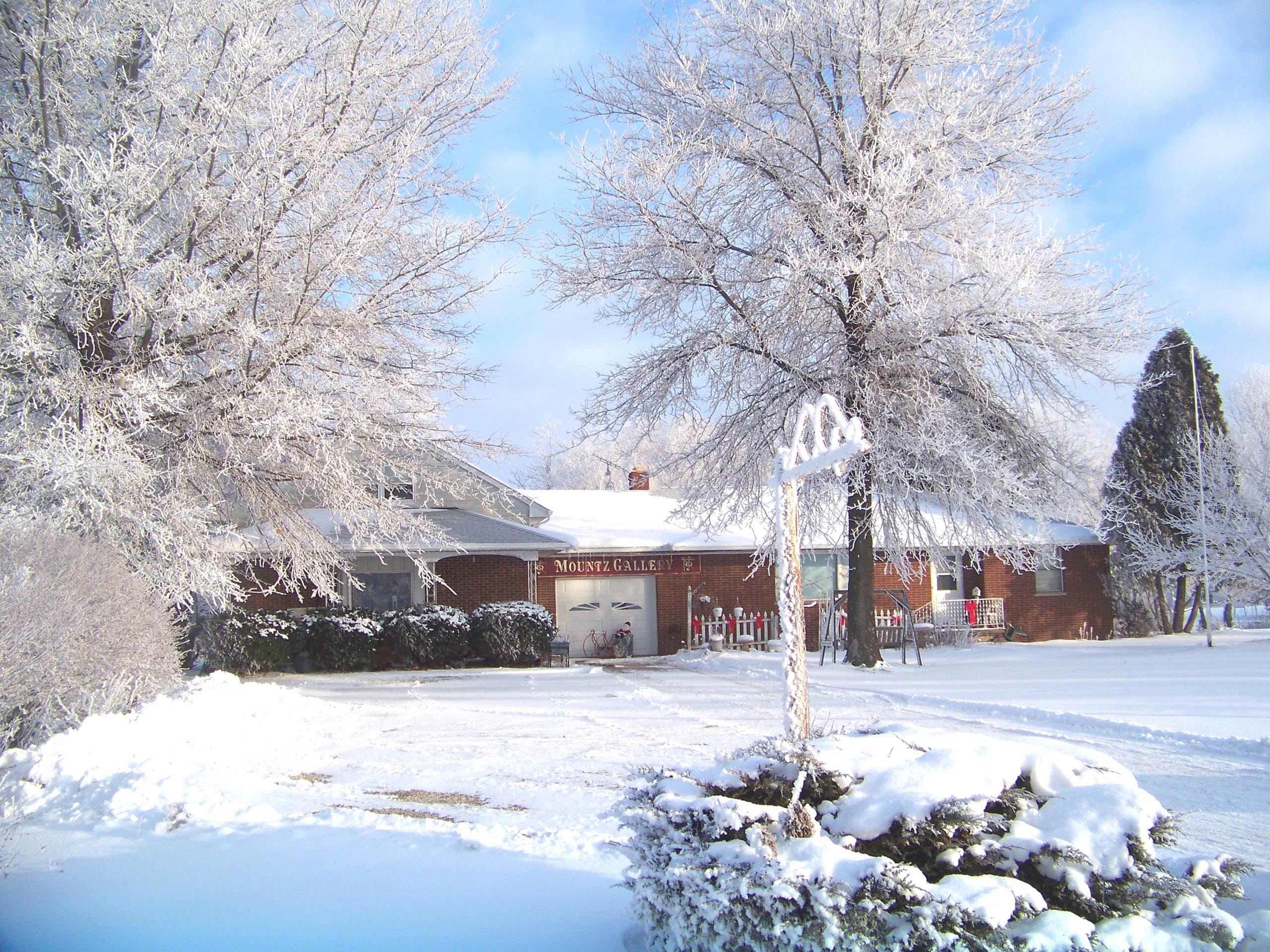 snow scene wallpaper,snow,winter,frost,freezing,tree