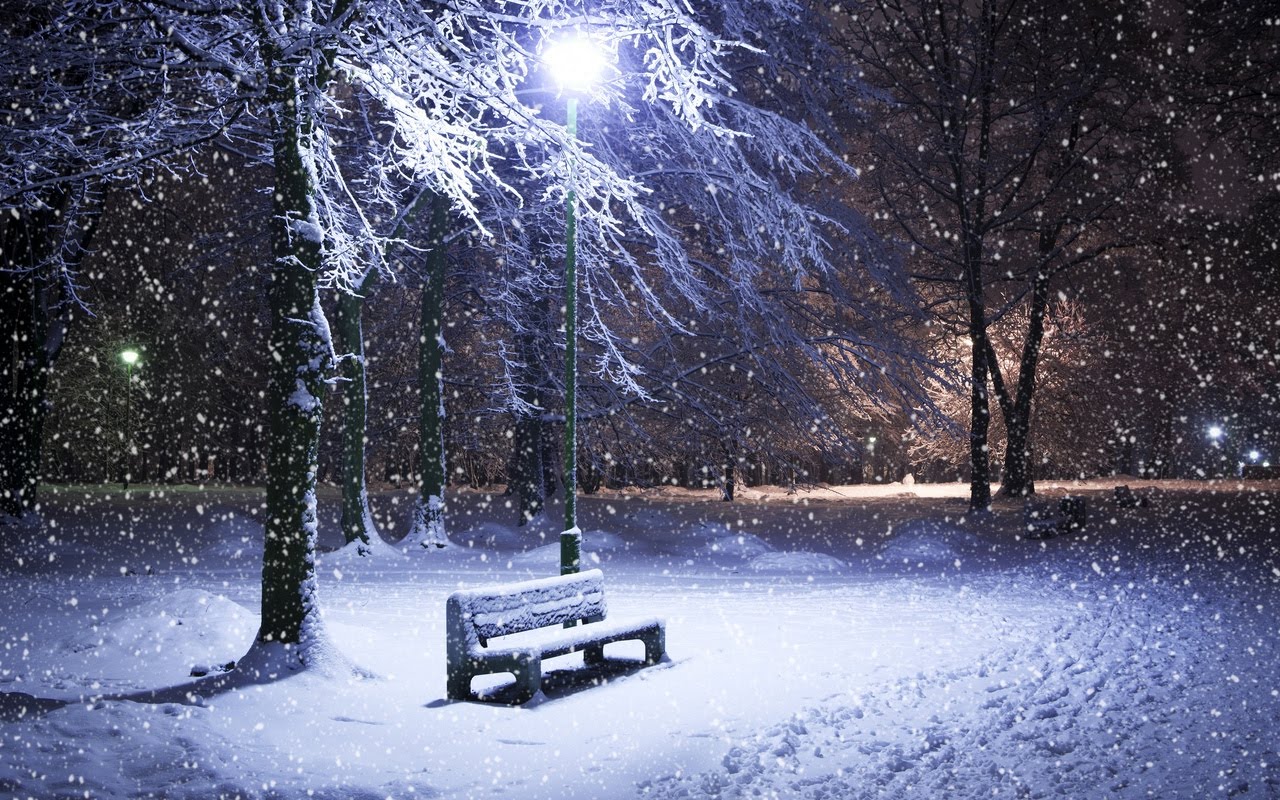 fond d'écran de scène de neige,neige,hiver,la nature,gelé,arbre