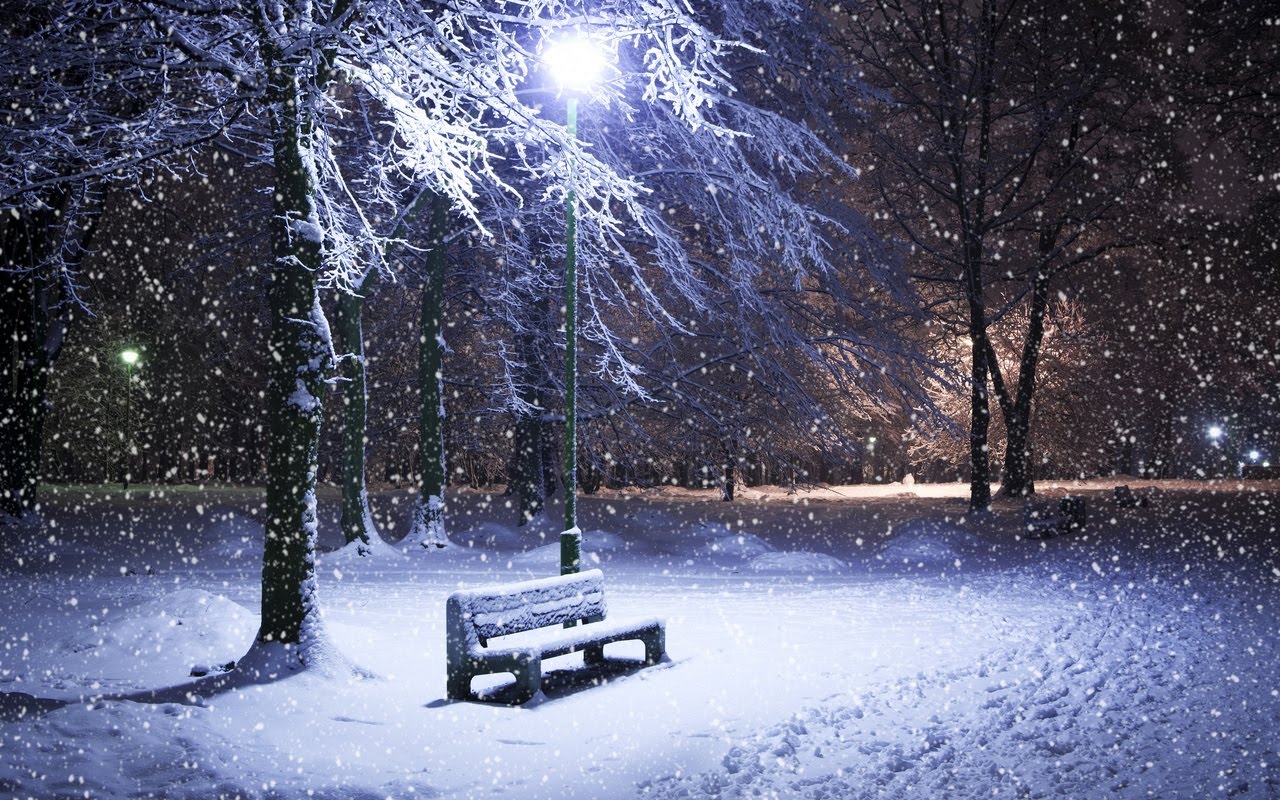 schneeszene tapete,schnee,winter,natur,einfrieren,baum