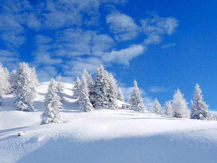 雪景色の壁紙,雪,冬,空,木,自然