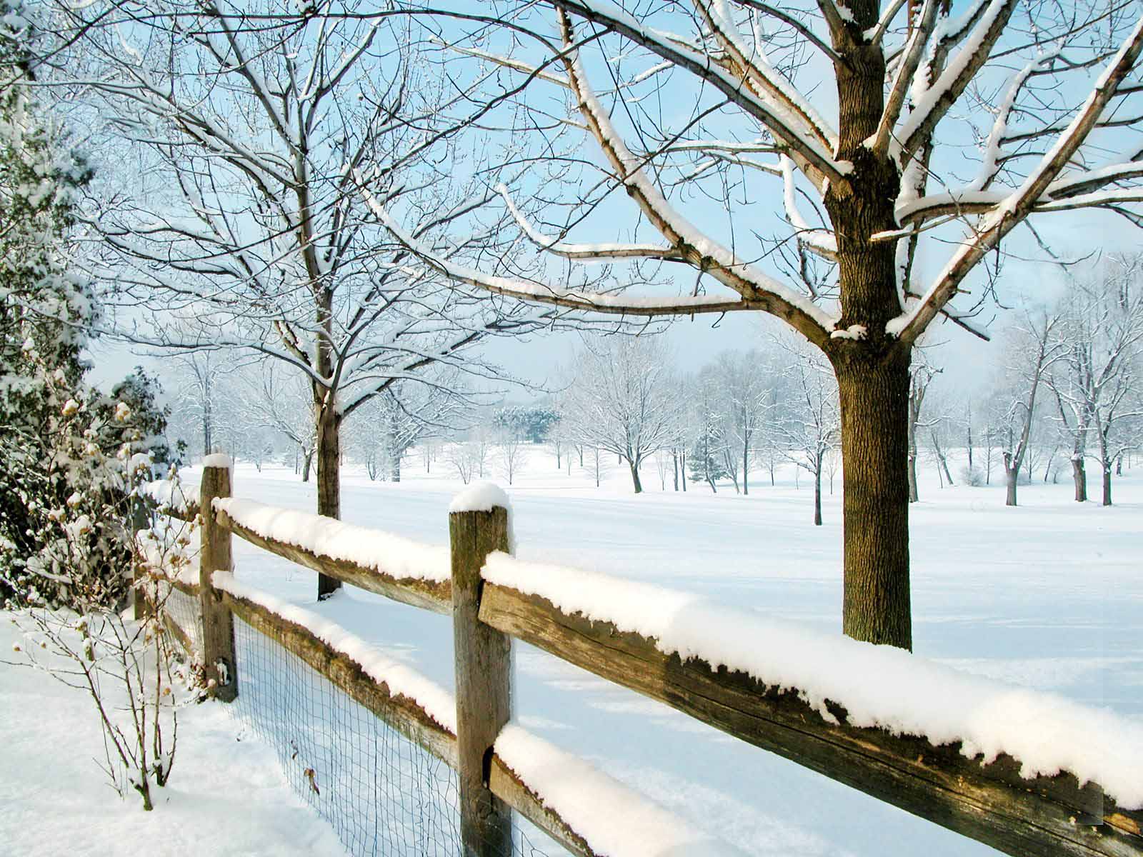 carta da parati scena di neve,neve,inverno,paesaggio naturale,natura,albero