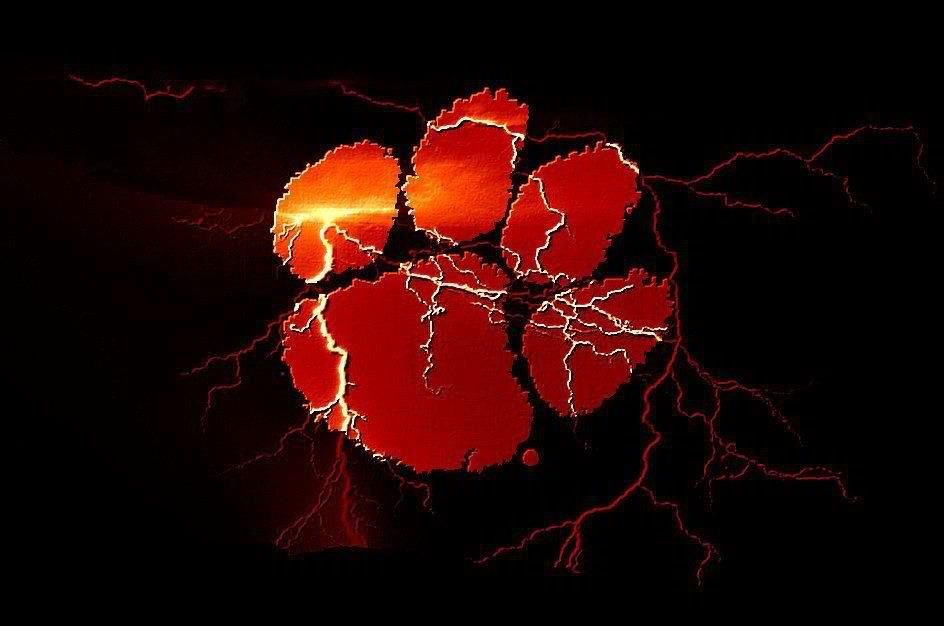 clemson tigers wallpaper,red,orange,sky,organism,plant