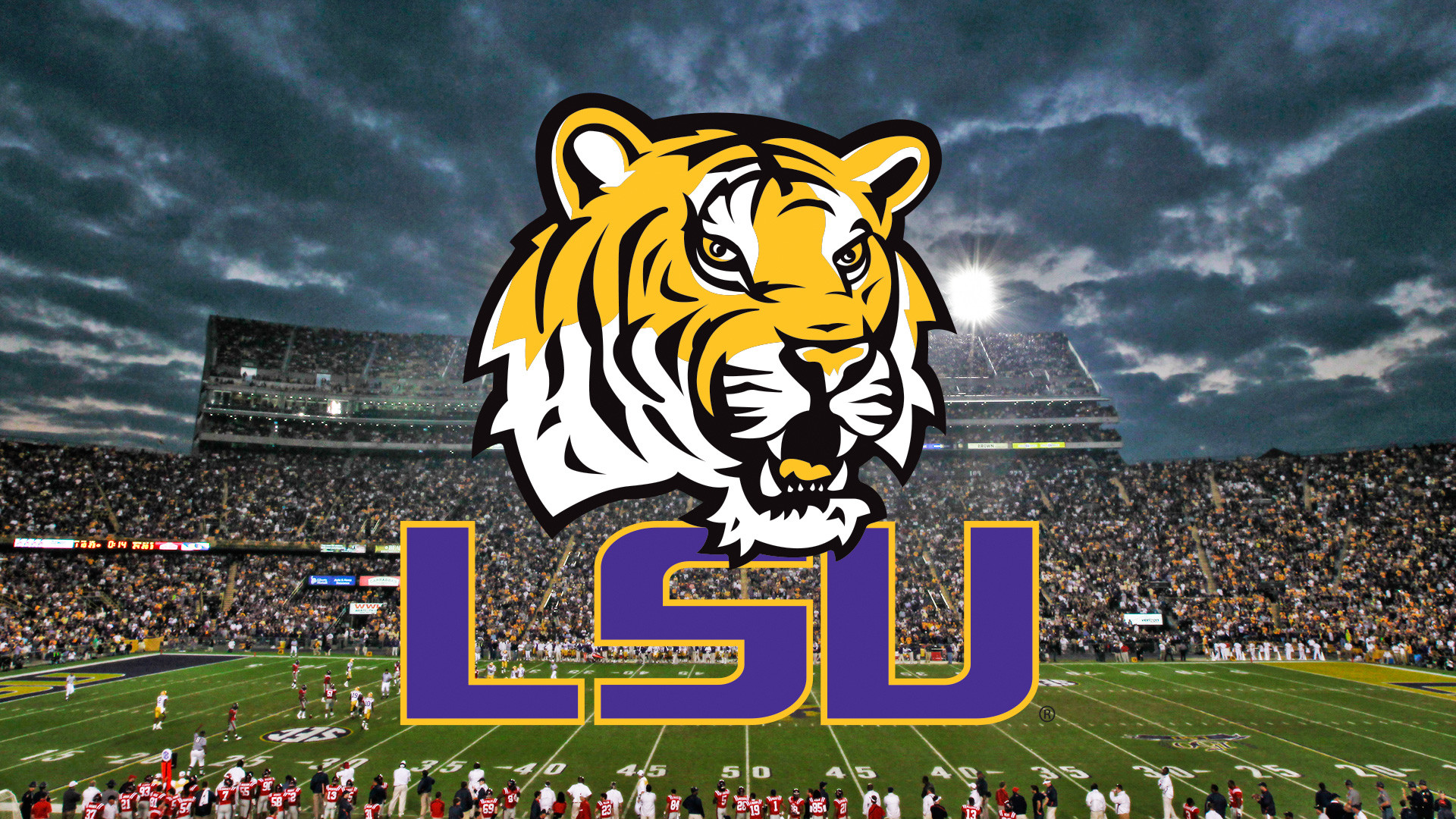 lsu football wallpaper,felidae,sport venue,tiger,stadium,fan