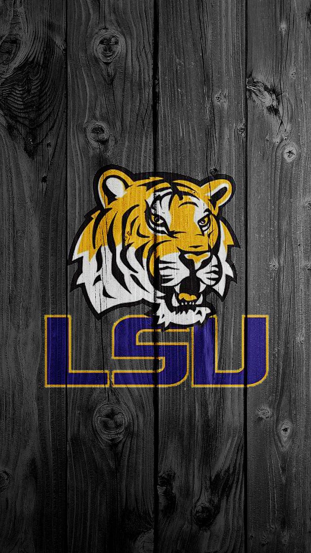 lsu tigers fond d'écran,tigre,tigre du bengale,félidés,tigre de sibérie,jaune