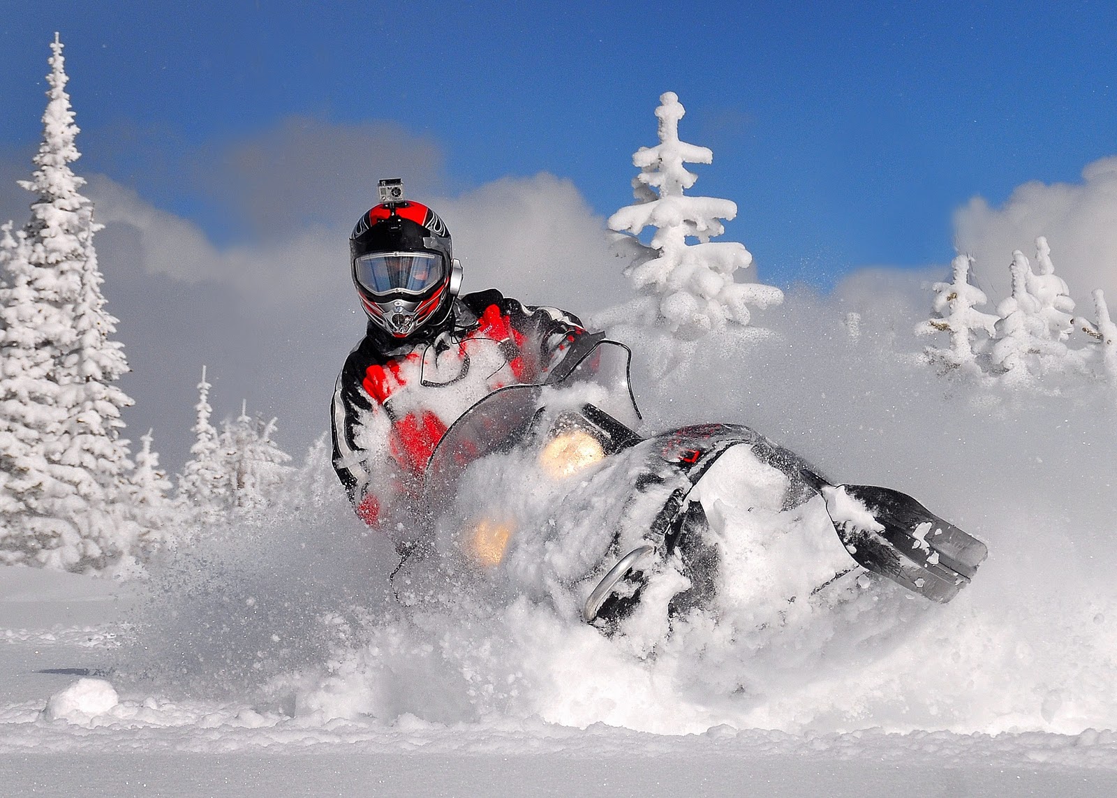 papel pintado de motos de nieve,motonieve,nieve,invierno,vehículo,deporte extremo