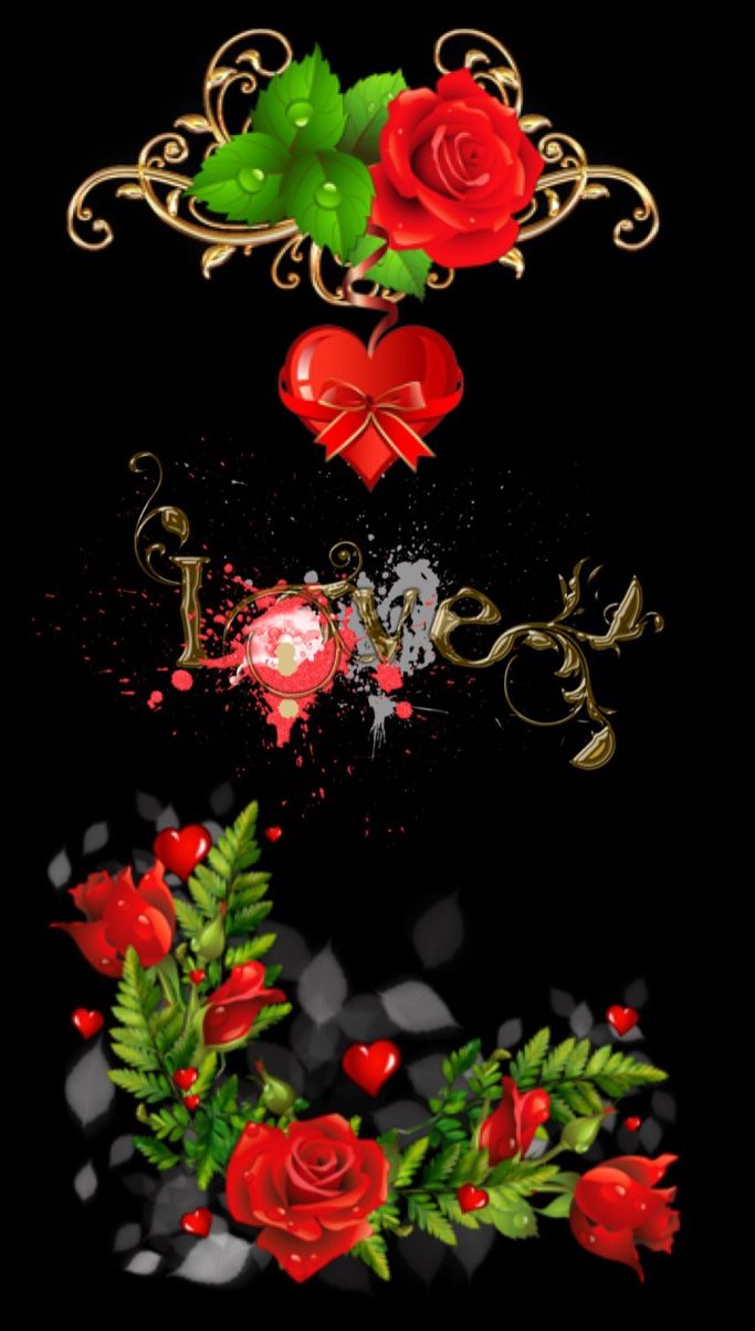 fond d'écran nokia 220,cœur,rouge,fleur,rose,plante