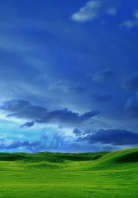 サムスンのモバイル壁紙240x320,空,草原,自然の風景,緑,青い