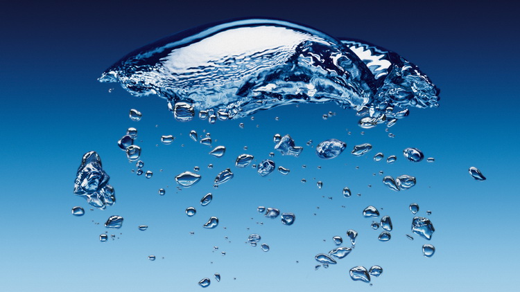 o2 wallpaper,water,liquid,drop,organism,fluid