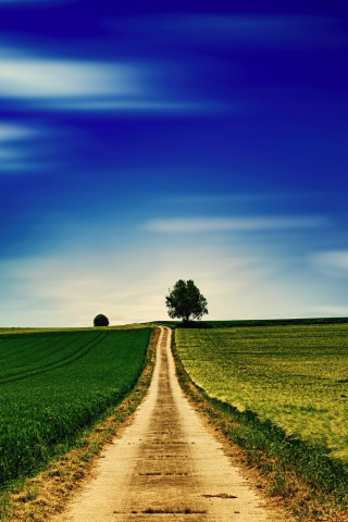 nokia 230 wallpaper,natural landscape,sky,nature,field,road