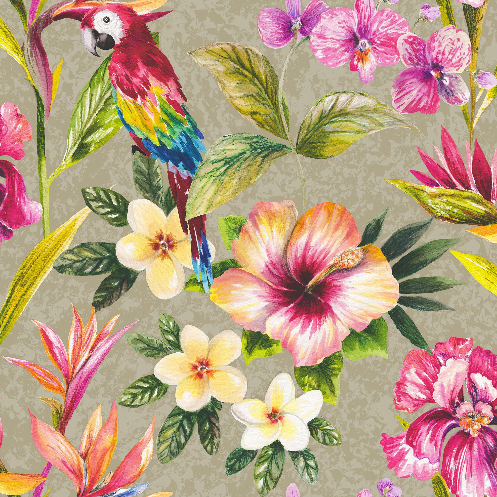 floral and bird wallpaper,flower,hawaiian hibiscus,pink,plant,flowering plant