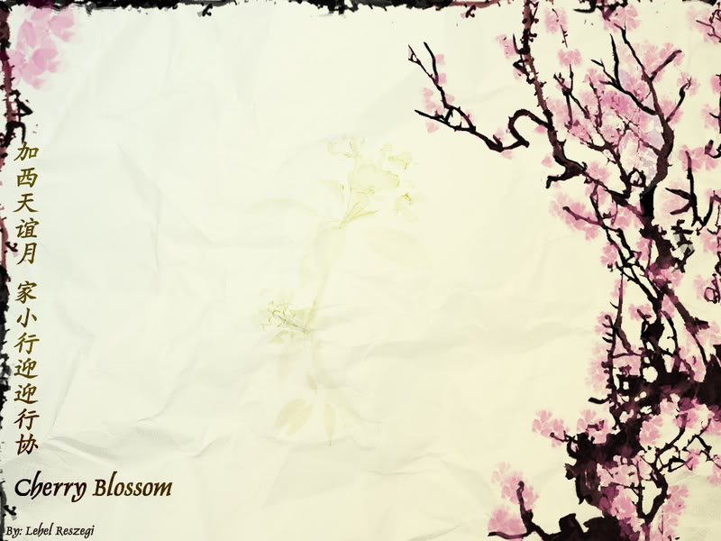 carta da parati a tema asiatico,rosa,testo,primavera,pianta,albero