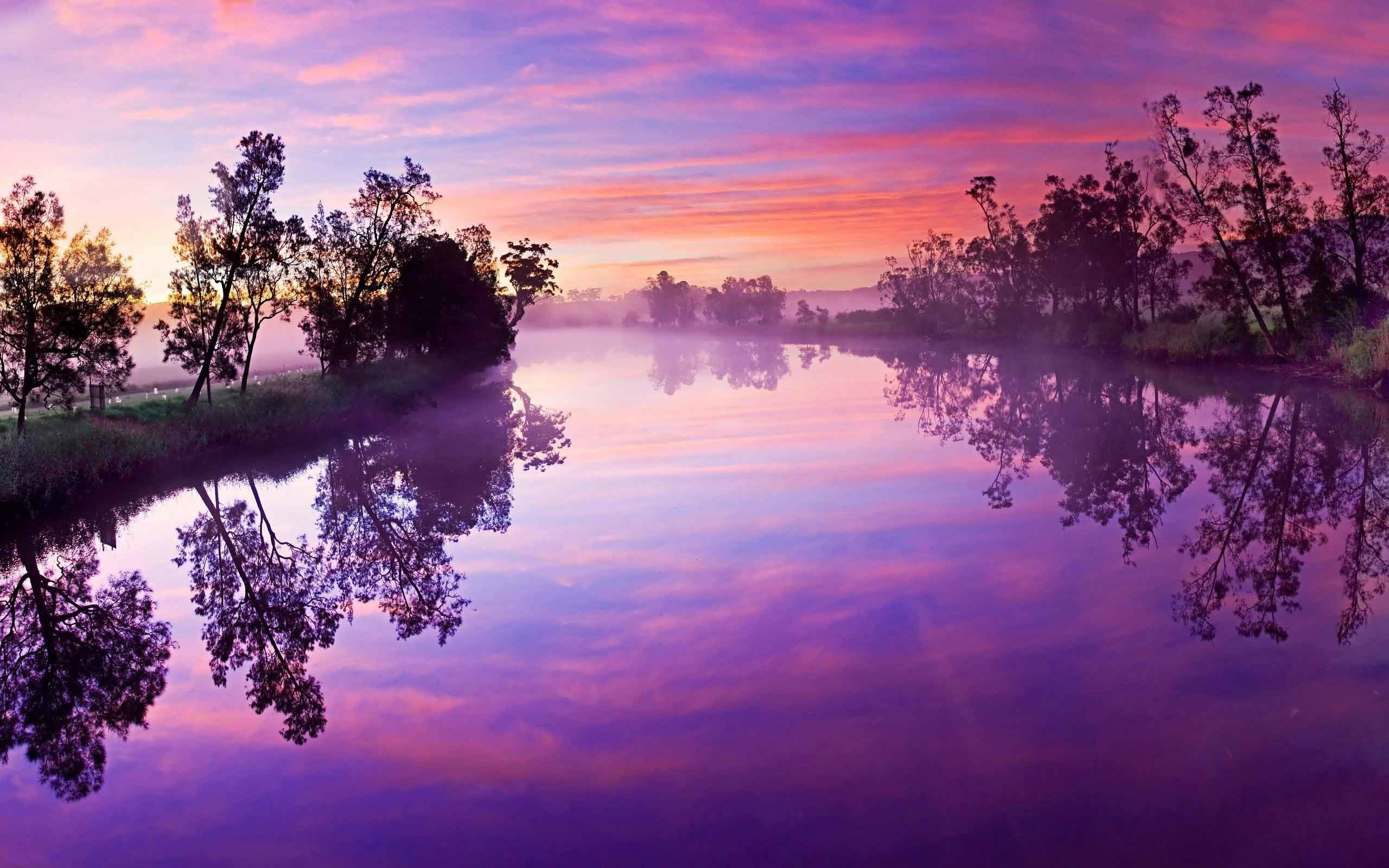 papel tapiz de árbol rosa,cielo,paisaje natural,naturaleza,reflexión,mañana