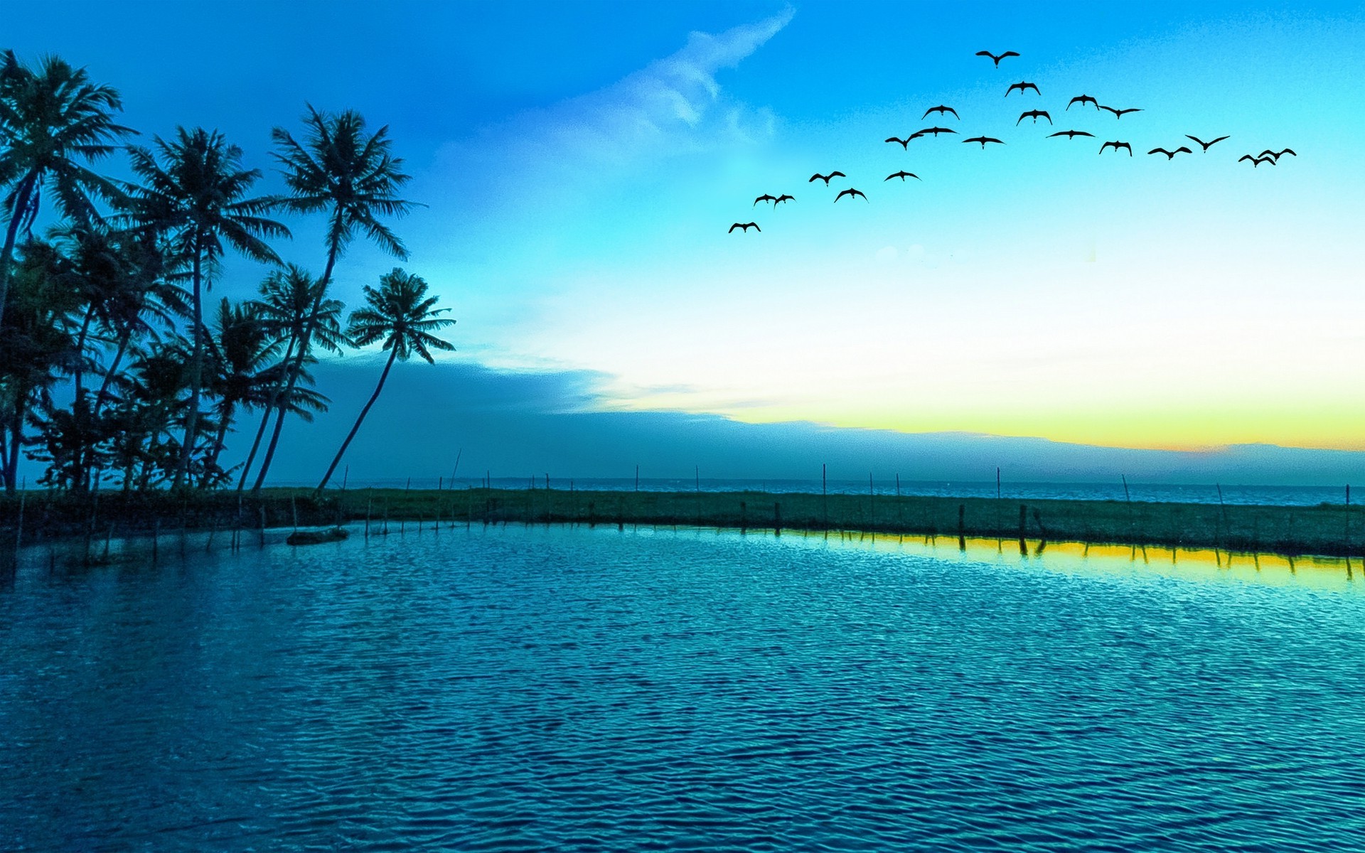 papel pintado con pájaros y árboles,cielo,azul,naturaleza,paisaje natural,agua