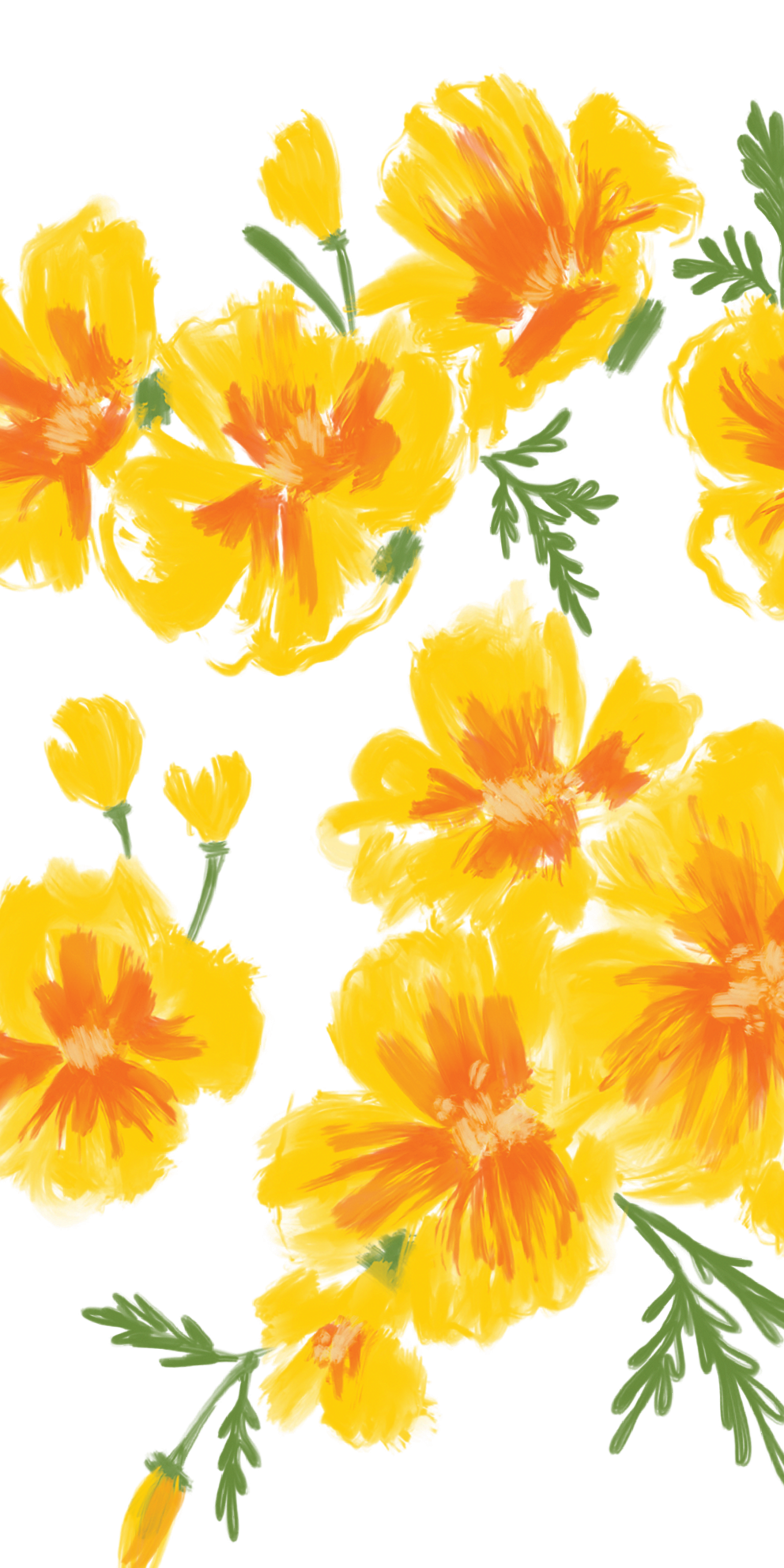 アンドロイド用の高解像度壁紙 花 ひまわり 開花植物 空 自然 Wallpaperuse アンドロイド用の高解像度壁紙 花 ひまわり 開花植物 空 自然 Wallpaperuse