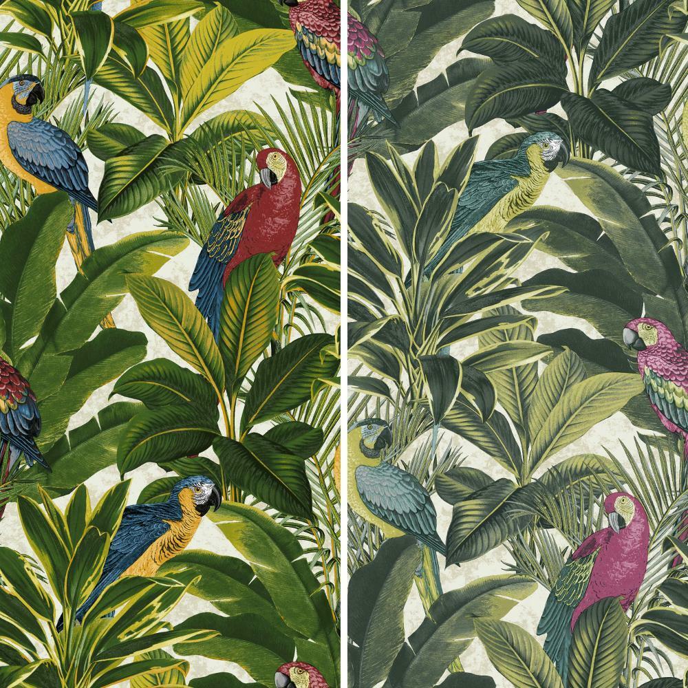 fondo de pantalla de patrón de pájaro,planta,flor,pájaro,planta floreciendo,hoja