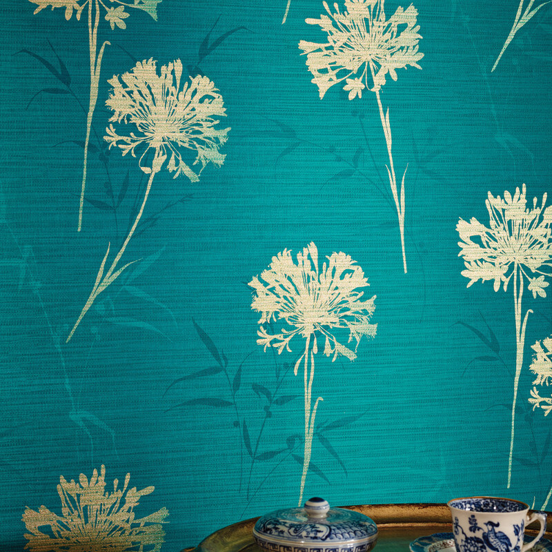 teal wallpaper designs,flower,dandelion,plant,dandelion,agapanthus