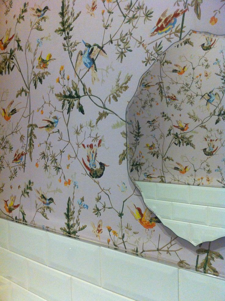 bird wallpaper for home,wallpaper,wall,textile,room,tile
