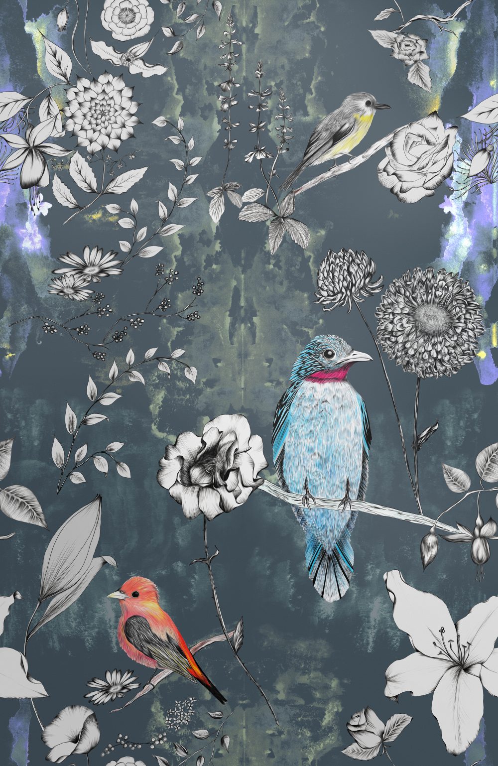 bird wallpaper for home,bird,blue,illustration,pattern,botany