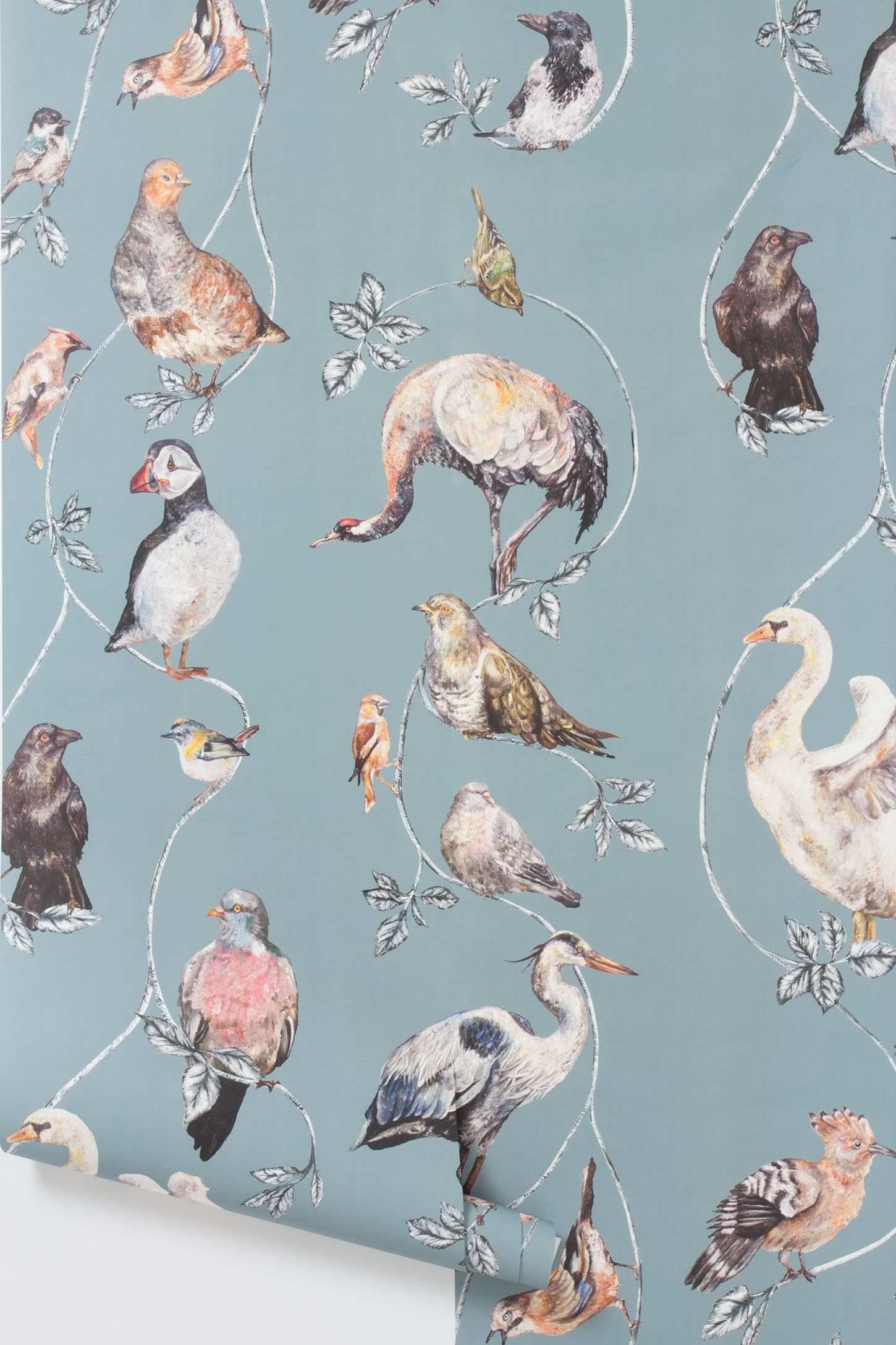 bird wallpaper for home,water bird,flamingo,bird,organism,pattern