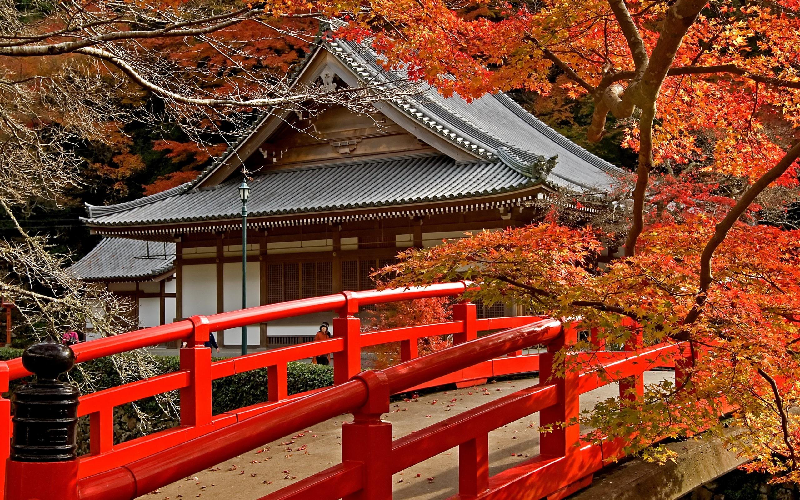 papier peint japonais royaume uni,arbre,la nature,feuille,l'automne,architecture japonaise