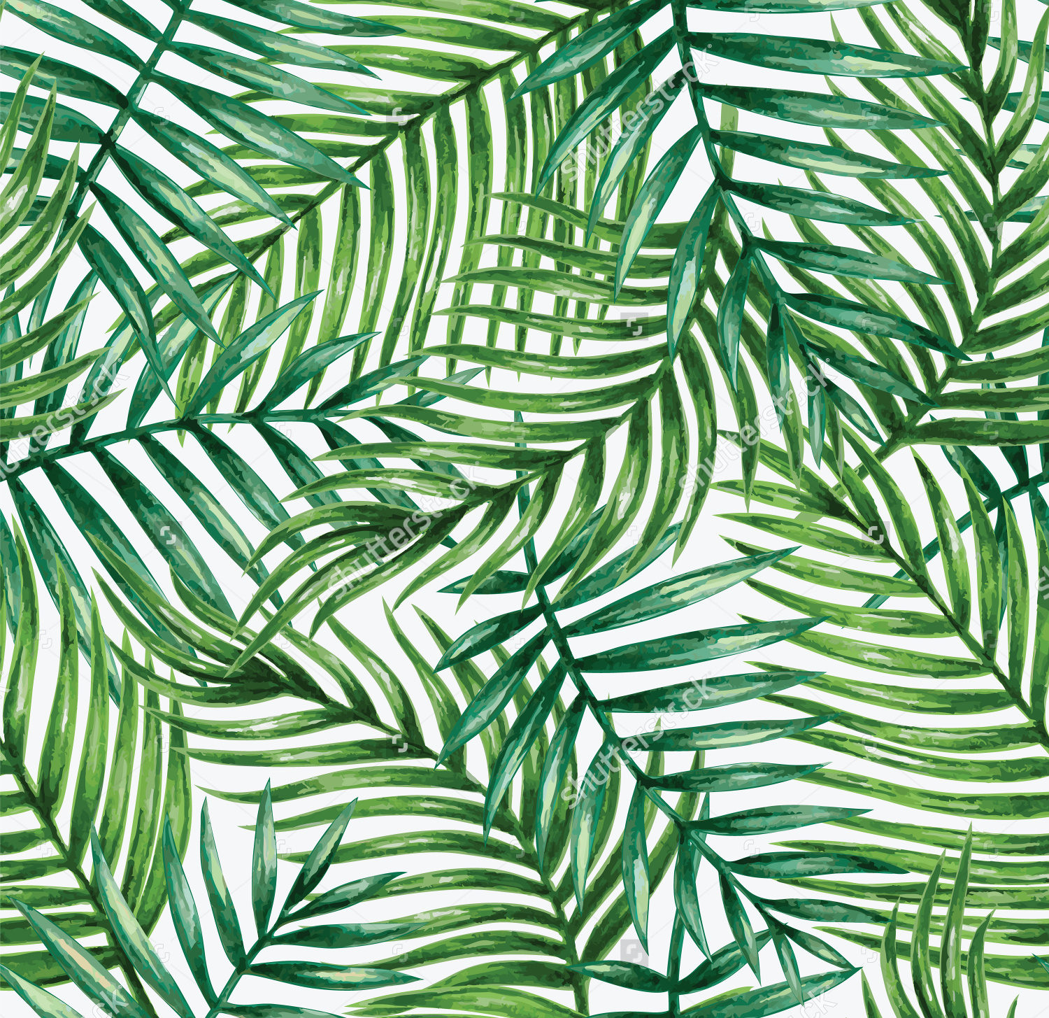 papier peint à motif de feuilles,modèle,vert,feuille,plante,ligne