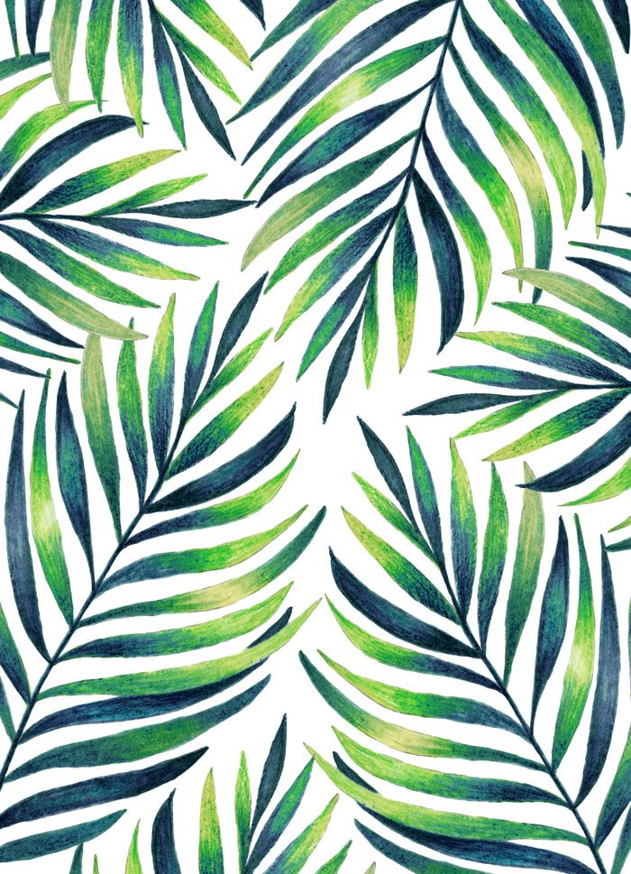 papel tapiz de patrón de hoja,hoja,modelo,verde,planta,línea