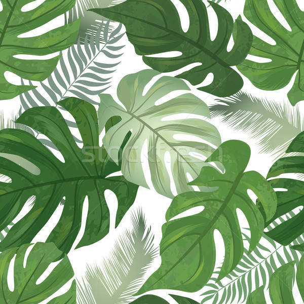 잎 패턴 벽지,잎,몬스 테라 델리 코사,초록,무늬,식물