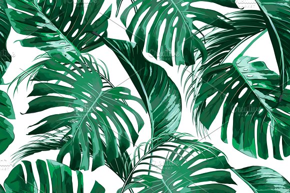 leaf pattern wallpaper,leaf,monstera deliciosa,green,plant,vegetation