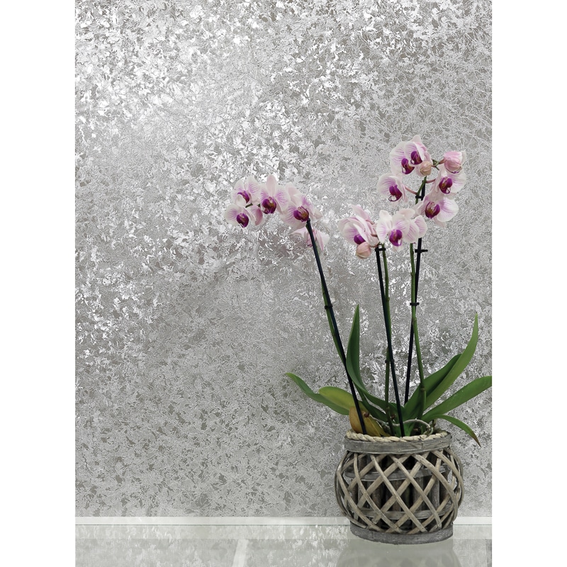 velvet wallpaper uk,flower,flowering plant,plant,flowerpot,moth orchid