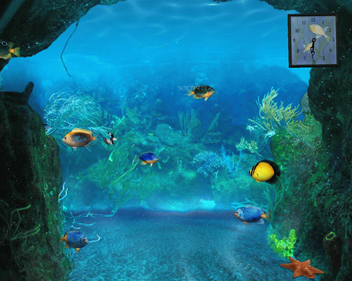 moving screen wallpaper,wasser,aqua,meeresbiologie,unter wasser,aquarium