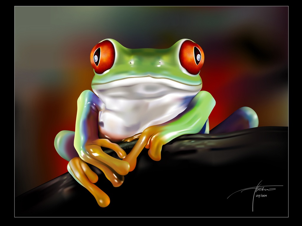 cute frog wallpaper,frog,tree frog,agalychnis,amphibian,tree frog