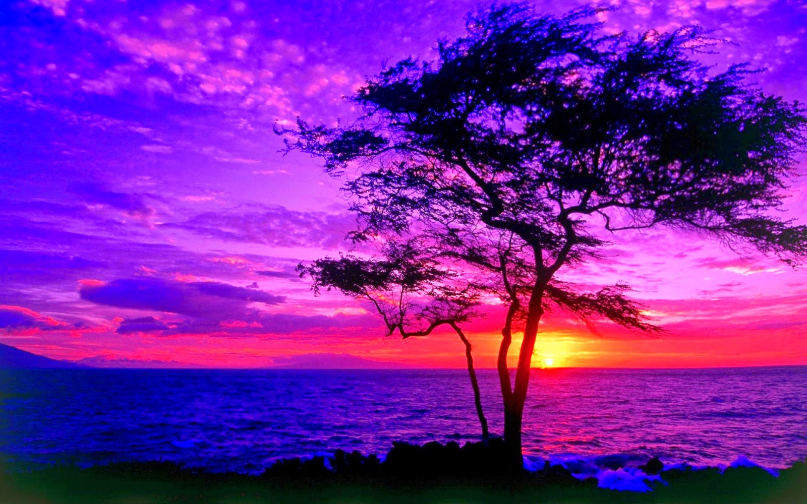 immagini wallpaper,sky,nature,natural landscape,purple,violet