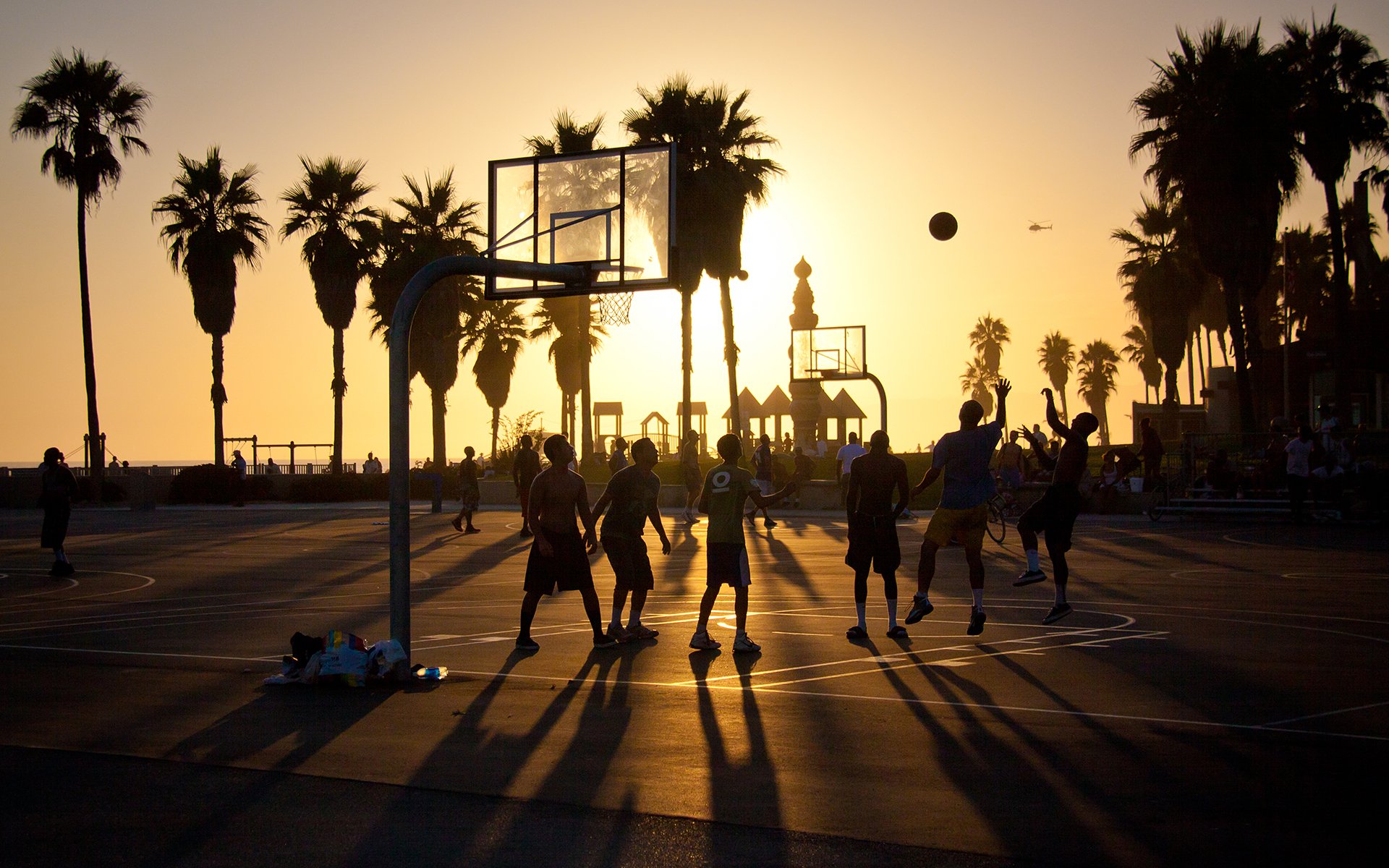 venice beach wallpaper,palm tree,tree,sky,arecales,sunset