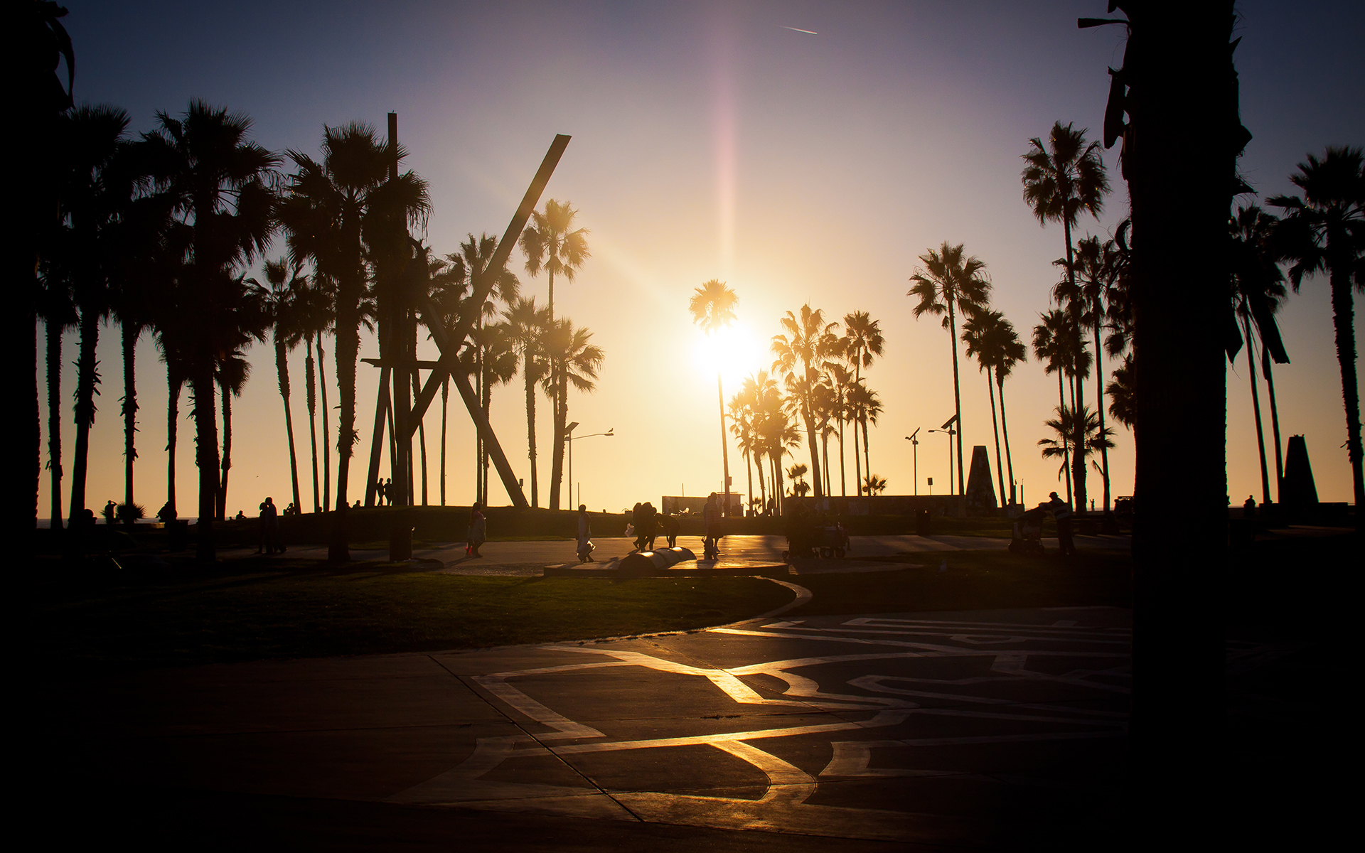 sfondo spiaggia di venezia,cielo,albero,palma,tramonto,mattina