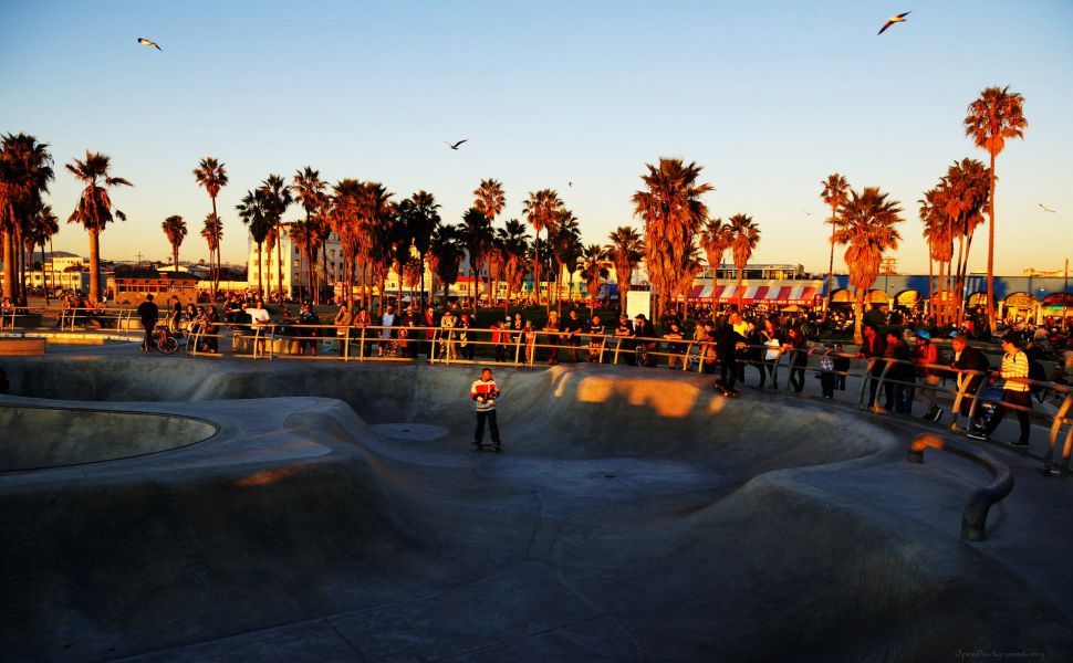 venice beach wallpaper,sport venue,sky,palm tree,skatepark,tree