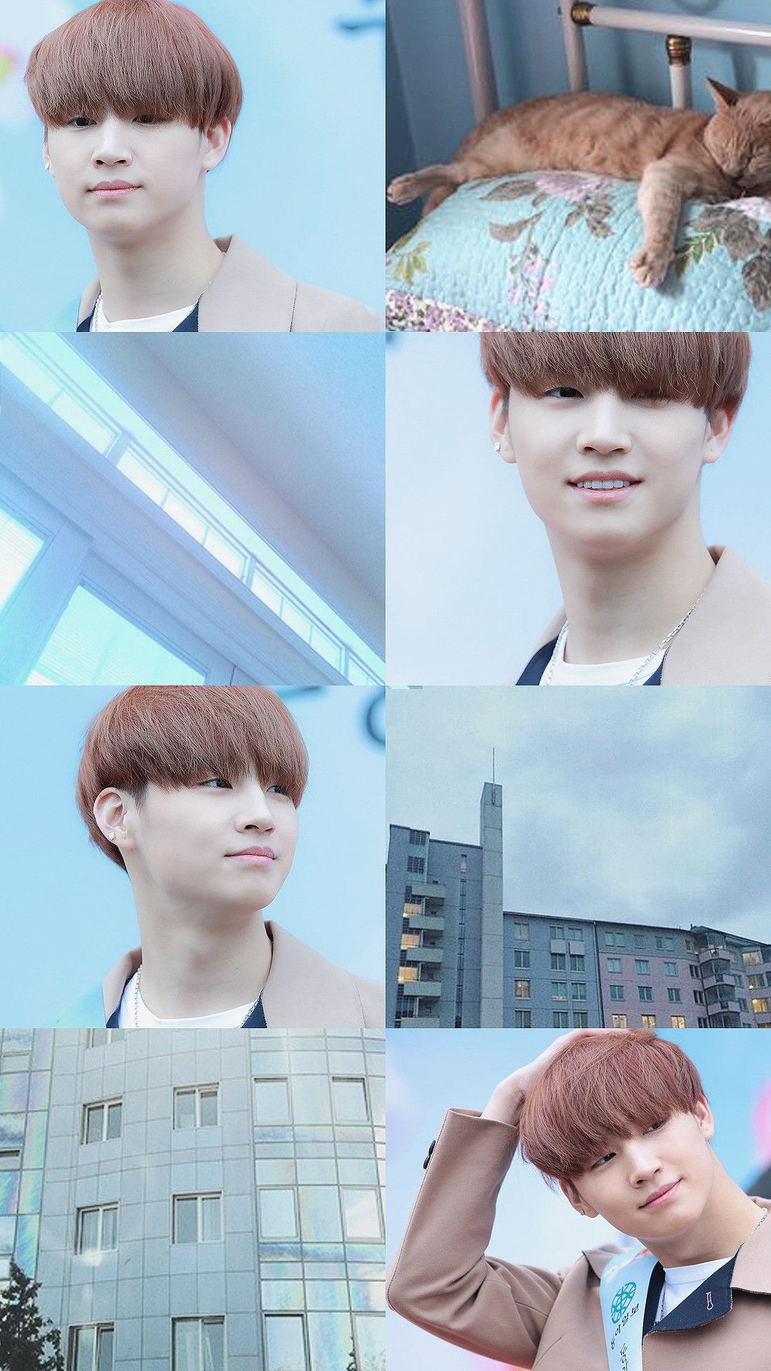 jb got7 fondo de pantalla,cabello,cara,peinado,cabeza,ceja