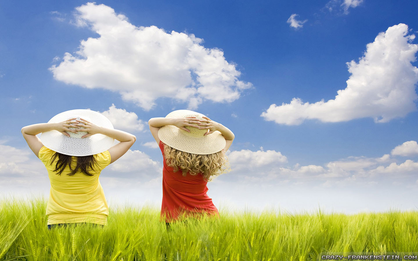 fond d'écran de vacances de printemps,ciel,instrument de musique,herbe,famille d'herbe,heureux