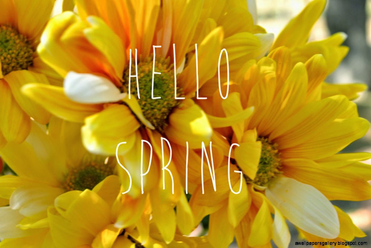 spring break wallpaper,flower,yellow,petal,plant,flowering plant