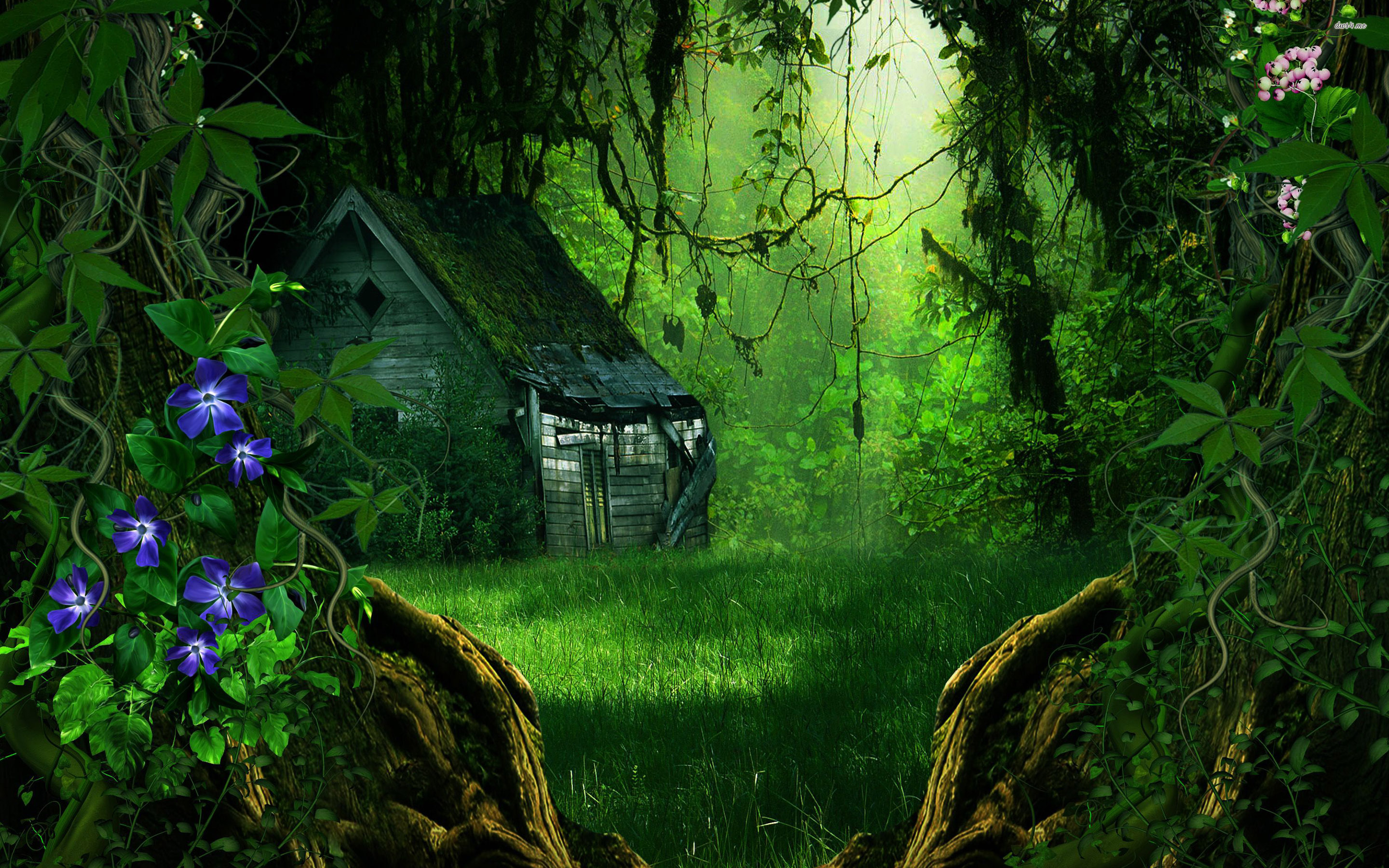 my house wallpaper,nature,green,natural environment,vegetation,natural landscape