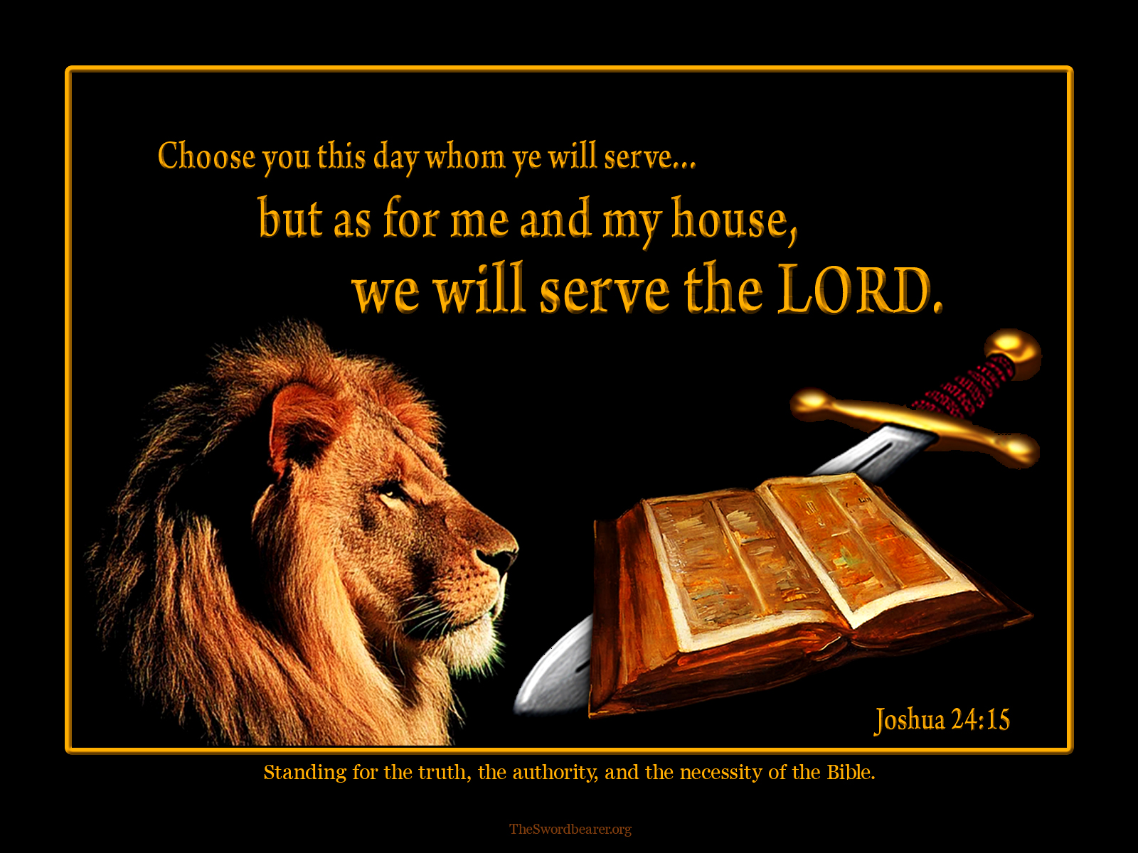 my house wallpaper,lion,text,felidae,big cats,adaptation