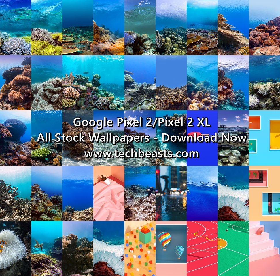 google pixel xl stock wallpapers,collage,organism,adaptation,tourism,coral