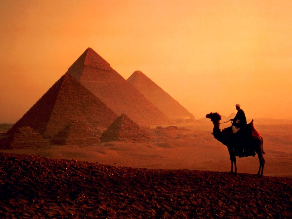 pyramides de gizeh fond d'écran,pyramide,chameau,désert,monument,paysage
