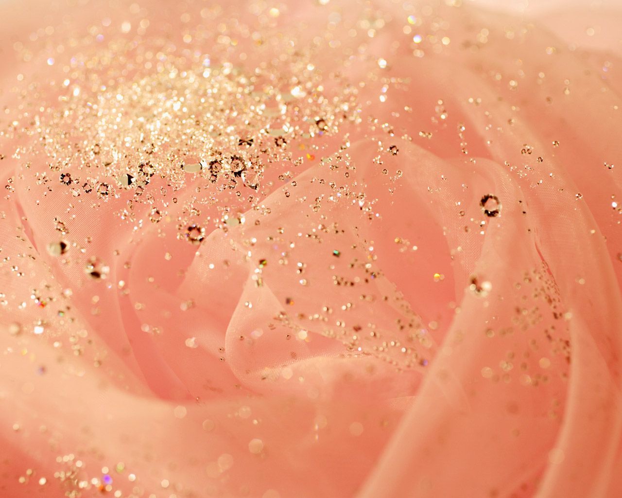 carta da parati sparkle in oro rosa,acqua,rosa,avvicinamento,far cadere,liquido