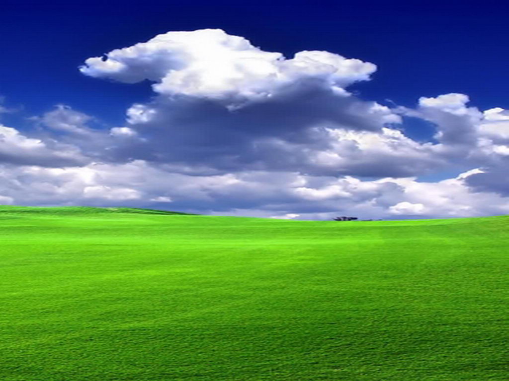 가장 아름다운 바탕 화면 배경 화면,하늘,목초지,초록,자연 경관,구름