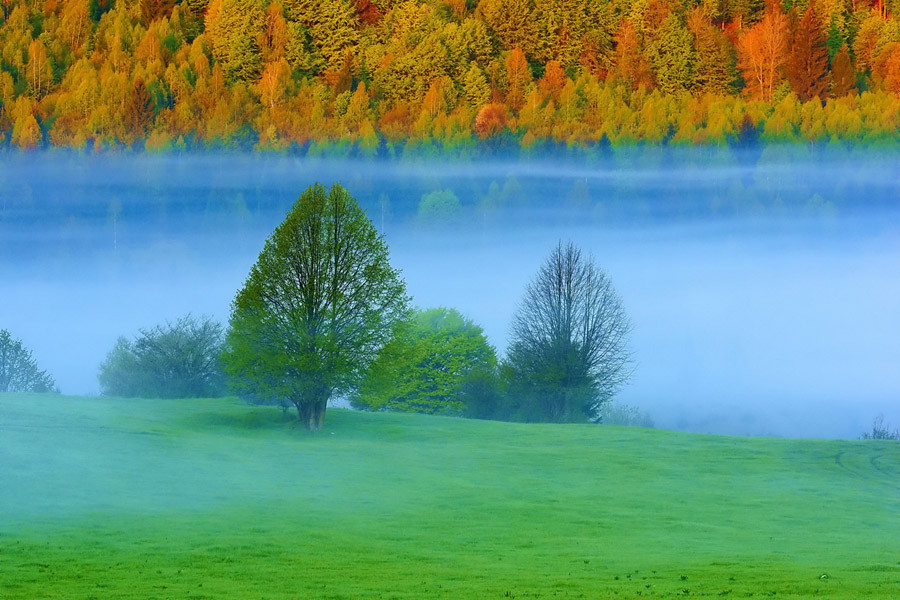 sfondi desktop più belli,paesaggio naturale,natura,verde,cielo,albero
