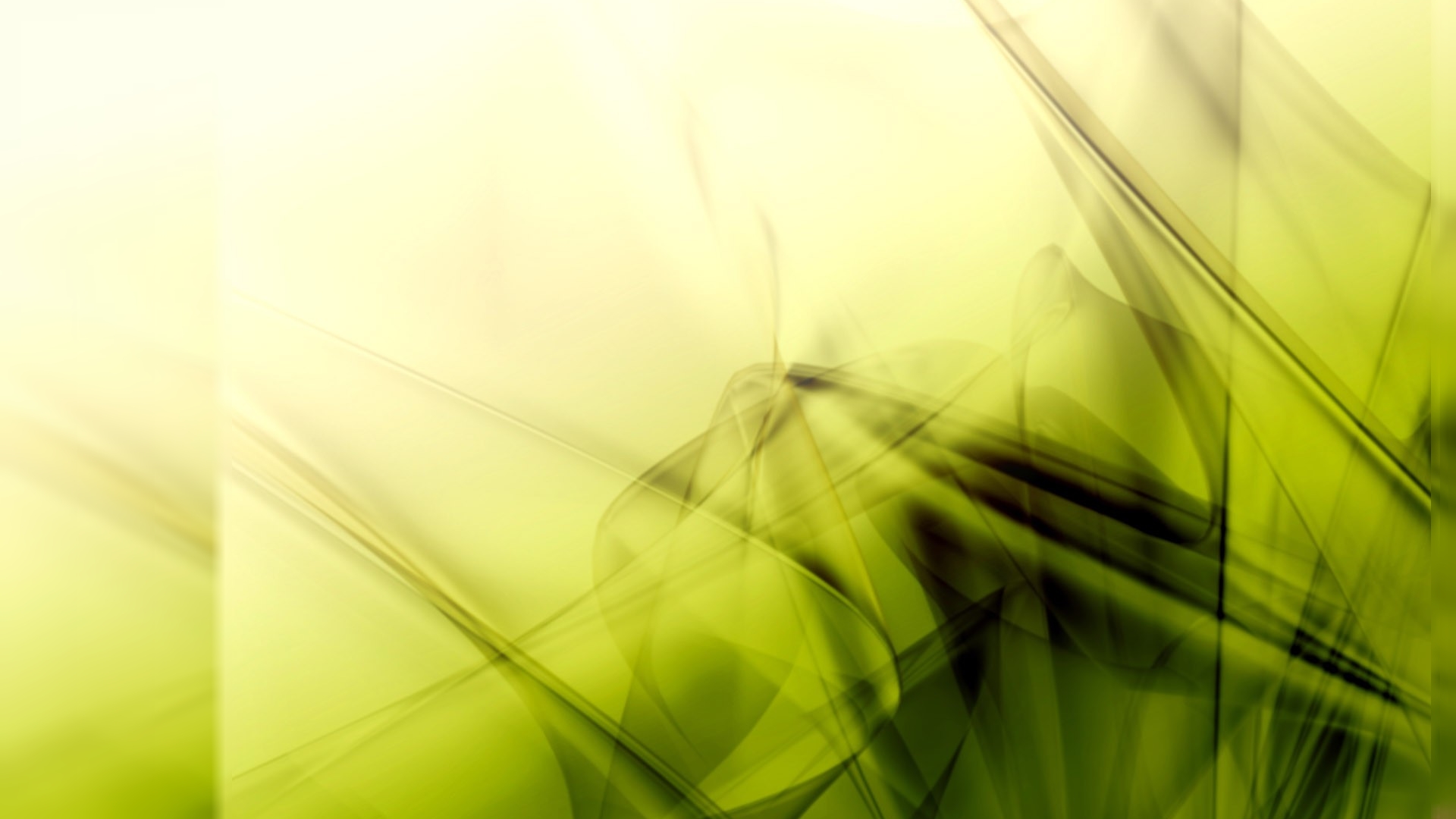 téléchargement de fond d'écran unique,vert,jaune,ligne,herbe,macro photographie